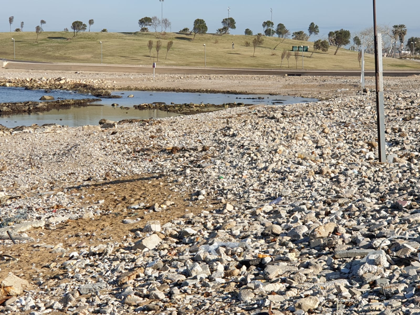 WhatsApp Image 2020-01-27 at 9.00.47 AM.jpeg.jpeg